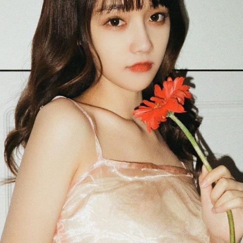 卓依婷 - 迎春花(Dj奶盖 Electro Rmx 2025 粤语)