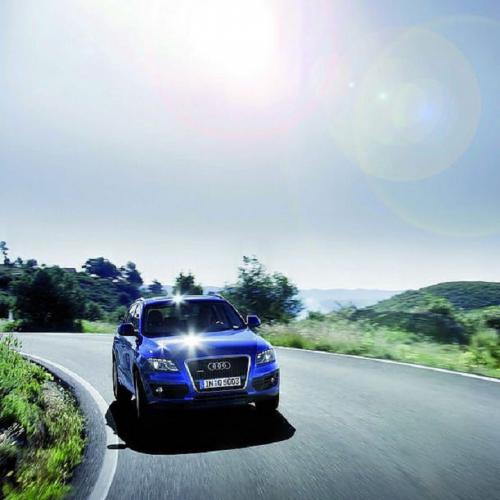 王杰 - 伤心1999(Dj钉头 Electro Rmx 2025)