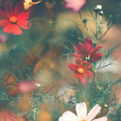 赵乃吉 - 末班车(Dj阿鲍 Electro Electro Rmx 2025)